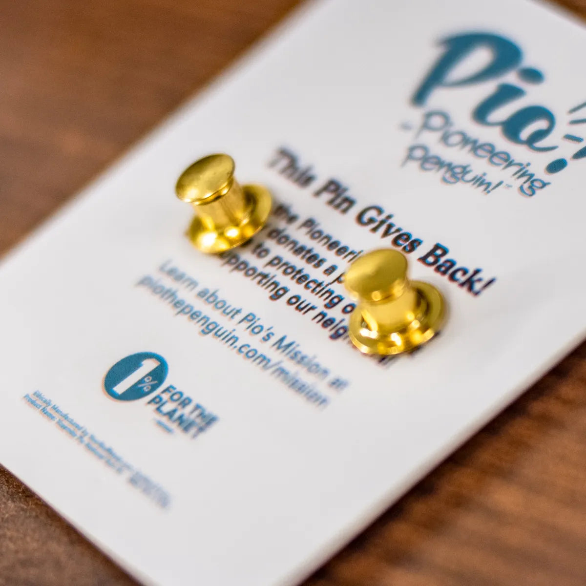 Pio's Grand Adventure Bundle!