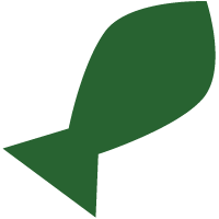 background shape